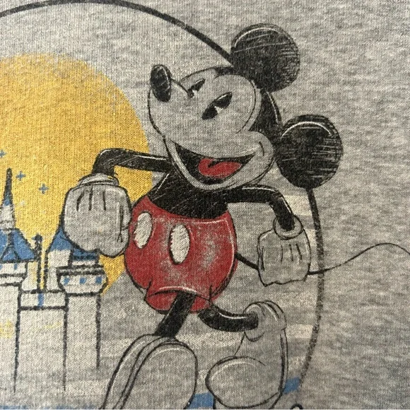 ⭐️Disney Parks Disneyland resort vintage look crop hooded sweatshirt size medium - Picture 14 of 16